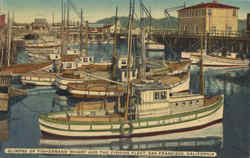 Glimpse Of Fishermans' Wharf And The Fishing Fleet Postcard