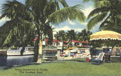 Dream Bungalows in Florida The Sunshine State Scenic, FL Postcard Postcard