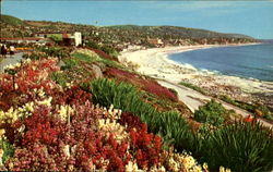 Beautiful Shoreline In Southern California Postcard