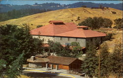 Simi Winery Napa, CA Postcard Postcard