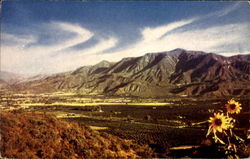 Ojai Valley Ventura, CA Postcard Postcard