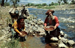 Panning Gold Scenic, CA Postcard Postcard