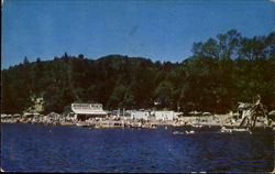 Johnson's Beach Guerneville, CA Postcard Postcard