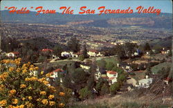 Hello From The San Fernando Valley Postcard