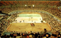 Los Angeles Memorial Sports Arena Postcard