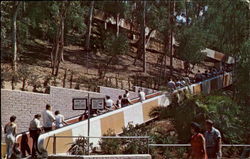 Moving Stairway, San Diego Zoo Balboa Park Postcard