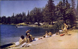 Bass Lake Scenic, CA Postcard Postcard