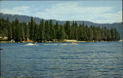 Shaver Lake Postcard