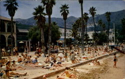 Santa Catalina Island California Postcard Postcard