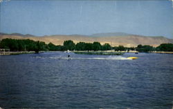 Water Skiing At Hart Memorial Park Postcard