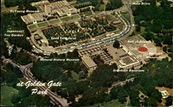 Golden Gate Park Postcard