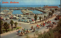 Yacht Harbor Postcard