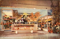 View Of Podesta Baldocchl's Lovely Shop San Francisco, CA Postcard Postcard