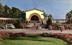 Pipe Organ Postcard