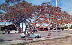 Carlsbad California Postcard Postcard