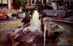 Ghirardelli Square Postcard