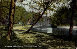 The Swans Above Pierce Mill, Rock Creek Park Washington, DC Washington DC Postcard Postcard