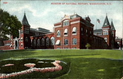 Museum Of Natural History Postcard