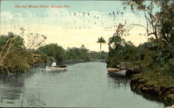 On The Miami River Florida Postcard Postcard