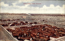 Union Stock Yards Postcard