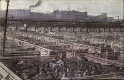 Union Stock Yards Postcard