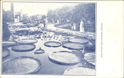 Lilly Pond, Lincoln Park Postcard