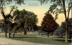 The Common Postcard