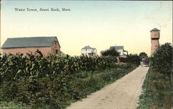 Water Tower Postcard