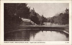 Upper Lake And Driveway, Forest Park Postcard