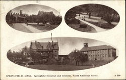 Springfield Hospital And Grounds, North Chestnut Street Postcard