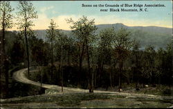 Scene On The Grounds Of Blue Ridge Association Postcard