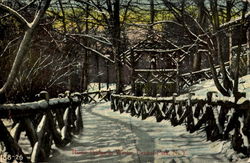 Rustic Bridge In Winter, Central Park Postcard