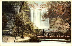 The Falls Minnehaha Falls Postcard