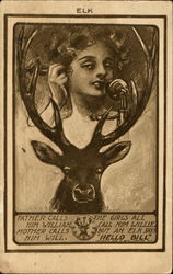 Elk Elks Club Postcard Postcard