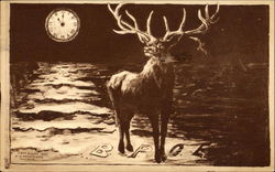 B. P. O. E Elks Club Postcard Postcard