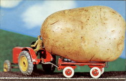 Giant Potato Maine Exaggeration Postcard Postcard