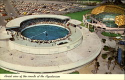 Aerial View Of The Crowds At The Aquatarium St. Petersburg, FL Postcard Postcard