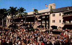 Crowd-Filled Paddock Postcard