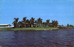 Venice Gardens Florida Postcard Postcard