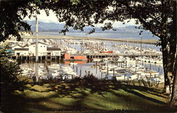 Port Basin Ilwaco, WA Postcard Postcard