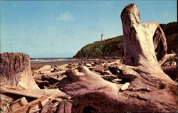 Benson Beach Postcard