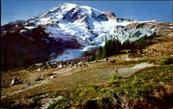 Glacier Vista, Mount Rainier National Park Postcard