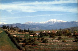 Majestic Snow-Capped Mt. Baldy Scenic, WA Postcard Postcard