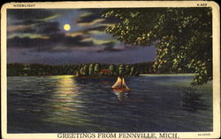 Moonlight Fennville, MI Postcard Postcard