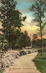 Spirea Walk Pinehurst, NC Postcard Postcard