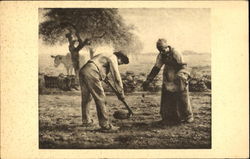 Planting Potatoes Postcard