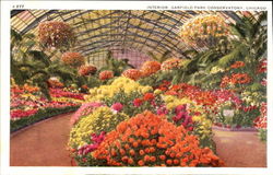 Interior Garfield Park Conservatory Postcard