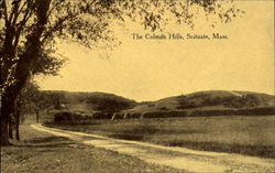 The Colman Hills Postcard