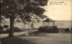 Owen Park And Harbor Vineyard Haven, MA Postcard Postcard