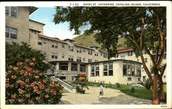 Hotel St. Catherine Santa Catalina Island, CA Postcard Postcard